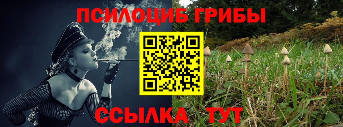 Галлюциногенные грибы прущие грибы Сызрань